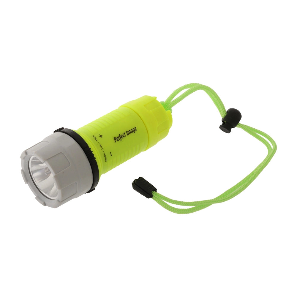 Perfect Image Waterproof LED Floating Torch With Batteries