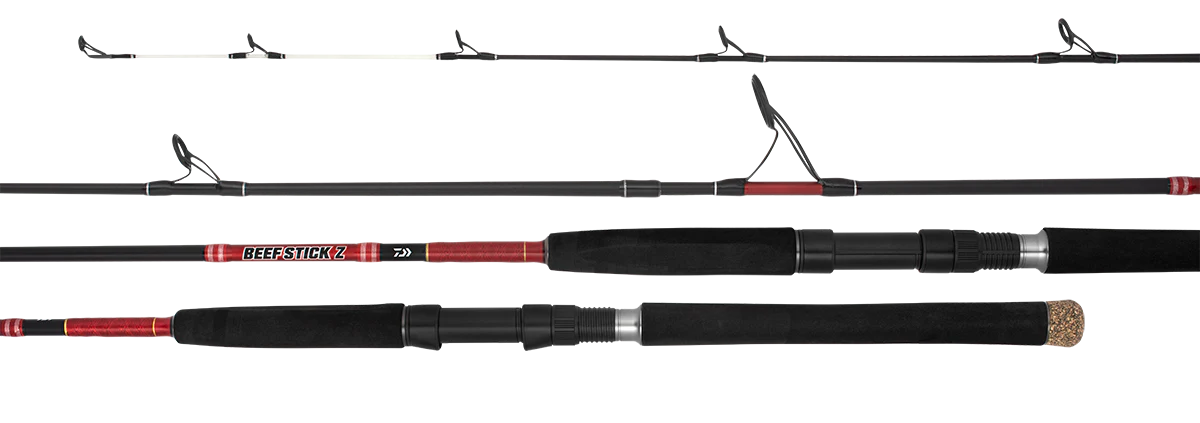 Daiwa 21 Beefstick Z Overhead Rod
