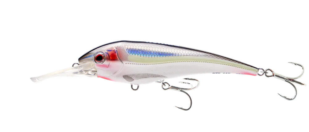 Nomad DTX Minnow Shallow Floating 145mm Hard Body Lure Bleeding Mullet