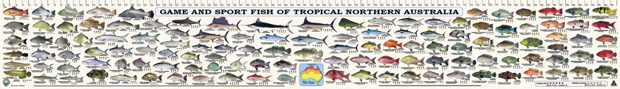 Camtas Fish Measure / Identification Decal Sticker 97cm QLD