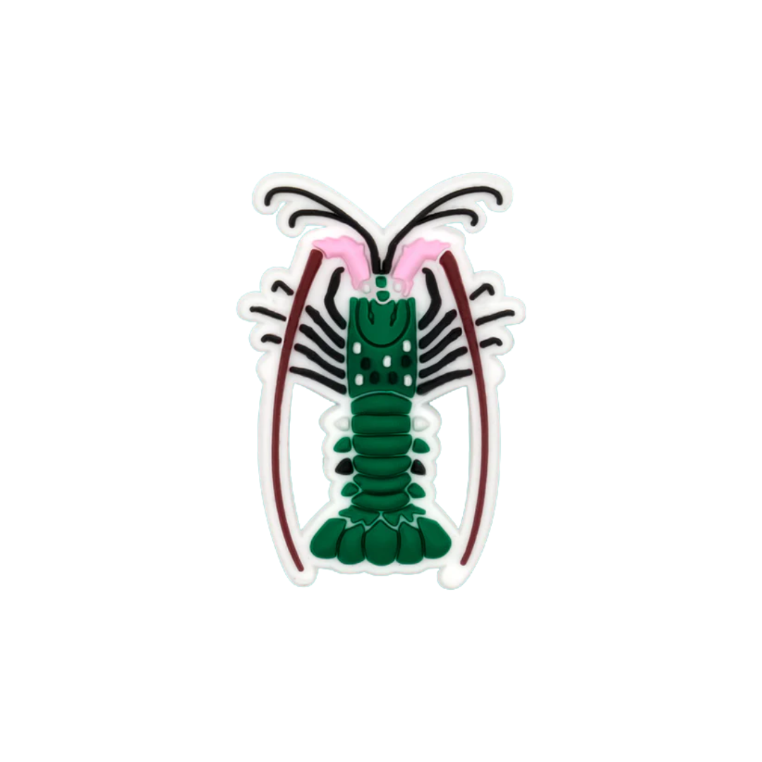 Reef Lagoon Charm Painted Rock Lobster