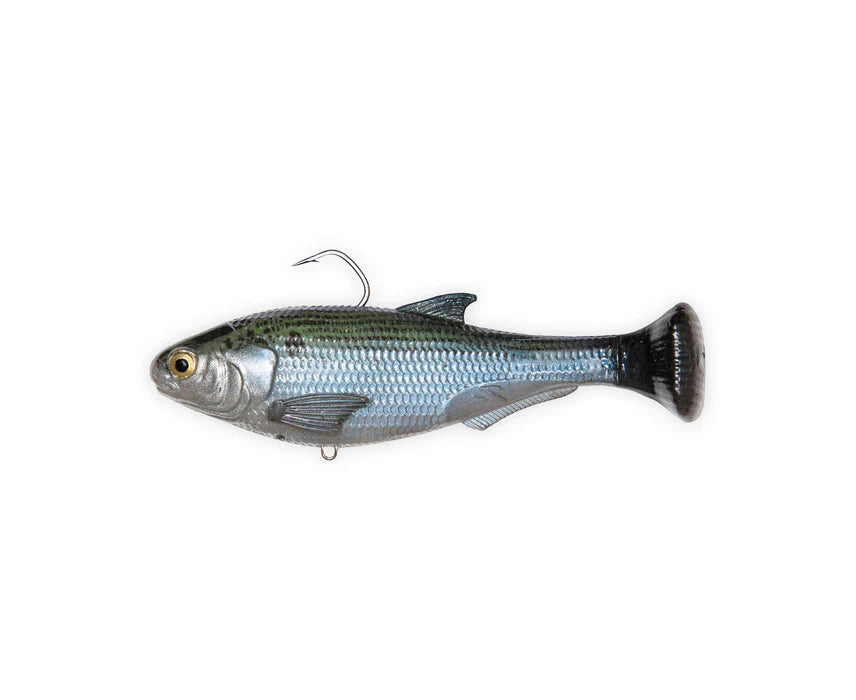 Zman Shadtron LT 4.5in Soft Plastic Swimbait Lure Mossback