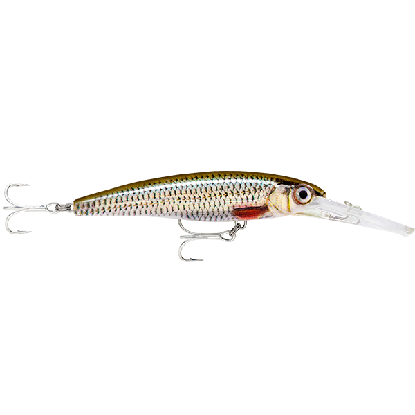 Rapala X-Rap SW Deep SXRD11 110mm Hard Body Lure Live Roach