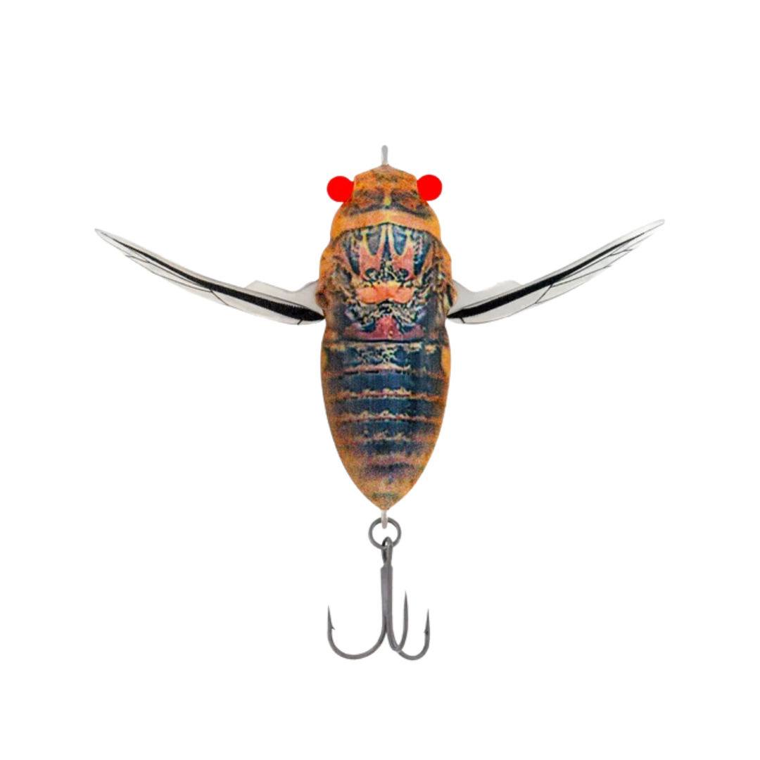 Samaki Redic Cicada 42mm Hard Body Topwater Lure Double Drummer
