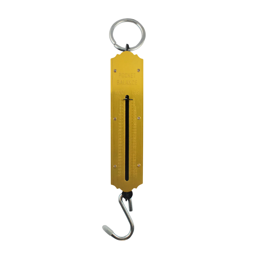 Maritec 50kg Brass Scales Gold