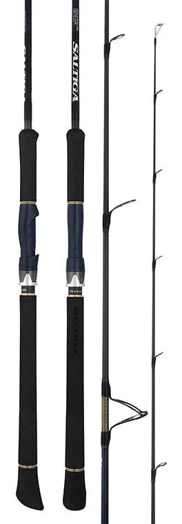 Daiwa 25 Saltiga LC Spinning Rod