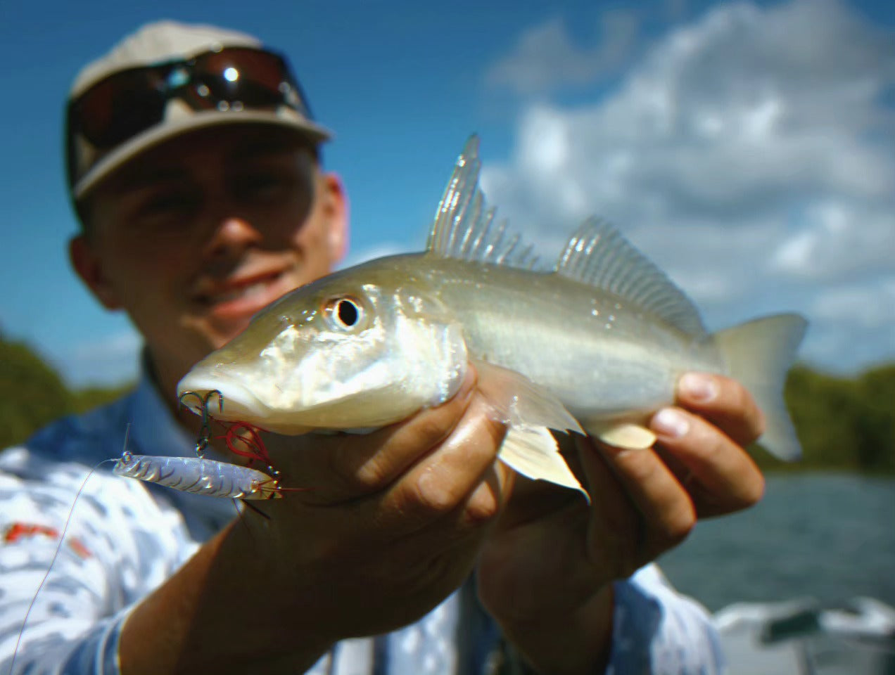 Whiting Guide