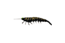 Irukandji Megaprawn 100mm Soft Plastic Lure Hornet