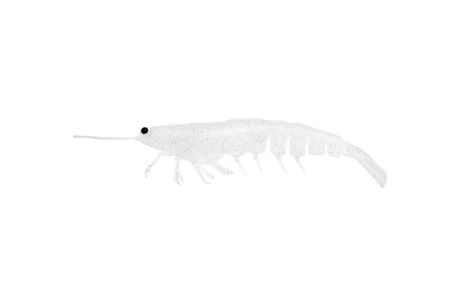 Irukandji Megaprawn 100mm Soft Plastic Lure Stealth