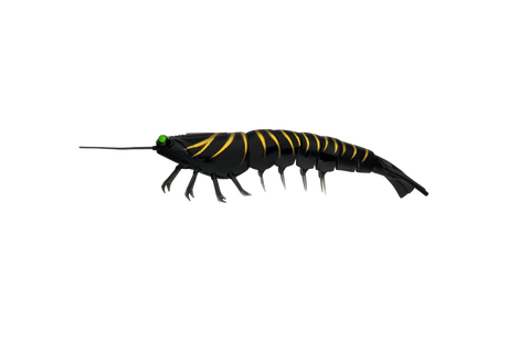 Irukandji Megaprawn 125mm Soft Plastic Lure Hornet