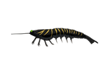 Irukandji Megaprawn 165mm Soft Plastic Lure Hornet