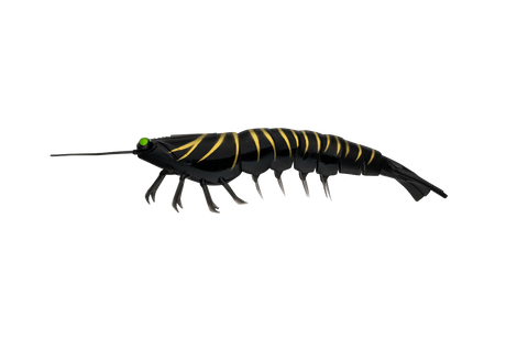 Irukandji Megaprawn 165mm Soft Plastic Lure Hornet