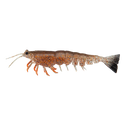 Irukandji Megaprawn 80mm Soft Plastic Lure Brownsnake