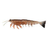 Irukandji Megaprawn 80mm Soft Plastic Lure Brownsnake