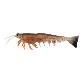 Irukandji Megaprawn 80mm Soft Plastic Lure Brownsnake