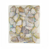 Tweed Bait Pippies 400g Bait