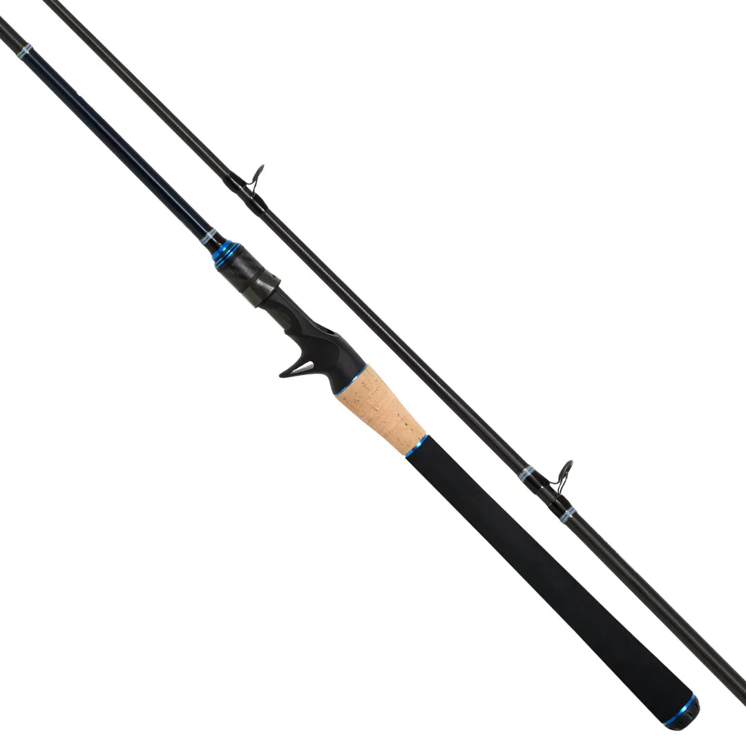 Shimano 24 TCurve Baitcaster Rod