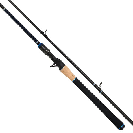 Shimano 24 TCurve Baitcaster Rod
