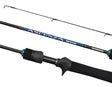 Shimano 24 Ascenza BFS Baitcaster Rod