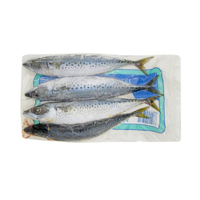 Tweed Bait Slimey Mackerel 1kg Bait