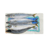 Tweed Bait Slimey Mackerel 1kg Bait
