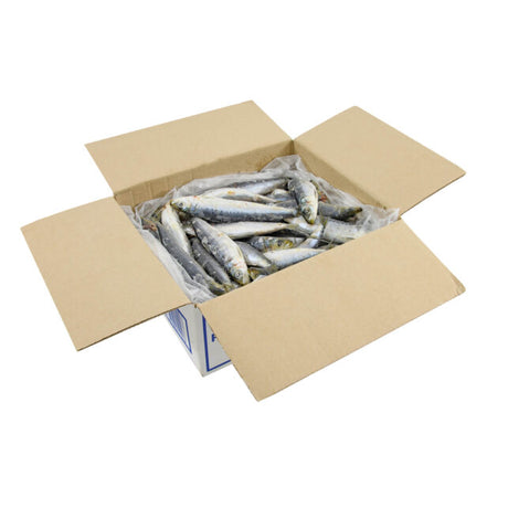 Tweed Bait IQF Pilchards/Yellowtail/Slimey 4kg Bait