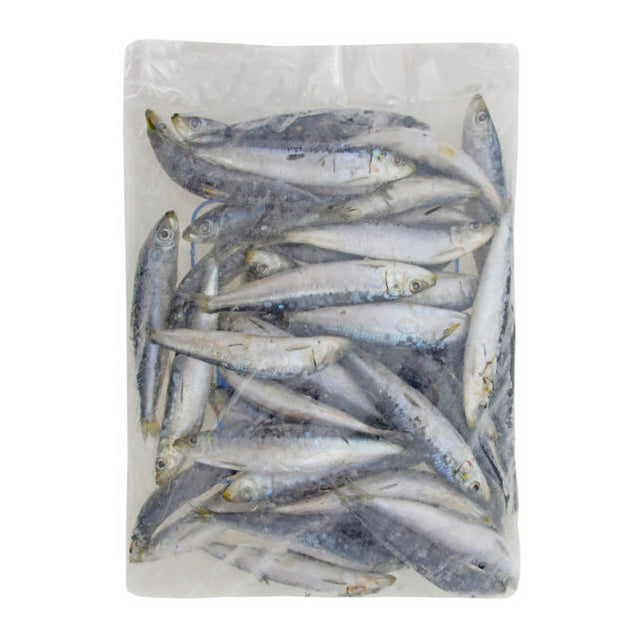 Tweed Bait IQF Pilchards 400g Bait