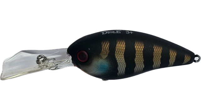 Jackall Digle 3+ 66mm Hard Body Crankbait Lure Black King Gill