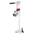 Watersnake Venom SXW Transom Mount Motor 65lb 42in 12v