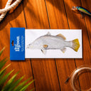 Reef Lagoon Decal Sticker A5 Barramundi