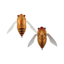 Atomic Hardz Cicada 35mm Hard Body Topwater Lure Brown Cicada