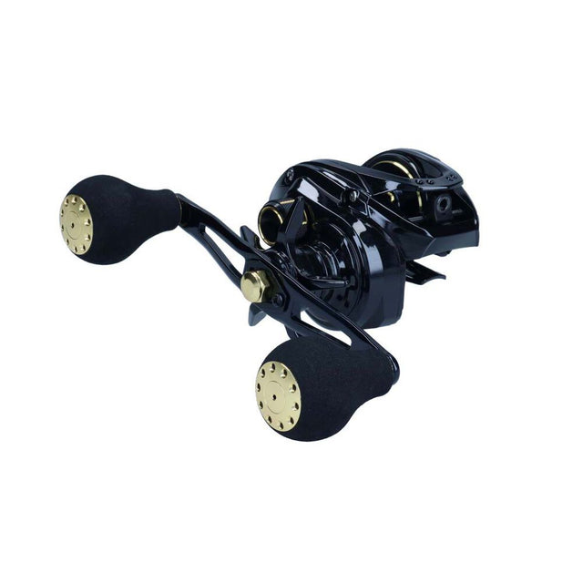 Daiwa PT Baitcaster Reel