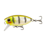Samaki Redic Footy Bug SF40 40mm Hard Body Lure Mirror Beetle