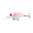 Samaki Redic Beetle Bug MF32 32mm Hard Body Lure BB-8