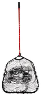 Berkley XL Barra Landing Net