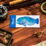 Reef Lagoon Decal Sticker A5 Blackspot Tuskfish