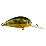 Atomic Hardz Crank 38mm Deep Diver Hard Body Lure Gold Wolf