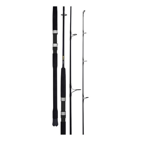 Daiwa 22 BG Bluewater Spinning Rod