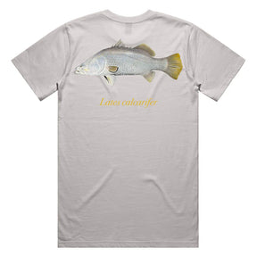 Reef Lagoon T-Shirt Barramundi Tee Stone Grey