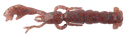 Berkley Gulp Salty Nipper 3.5in Soft Plastic Lure Blood Worm