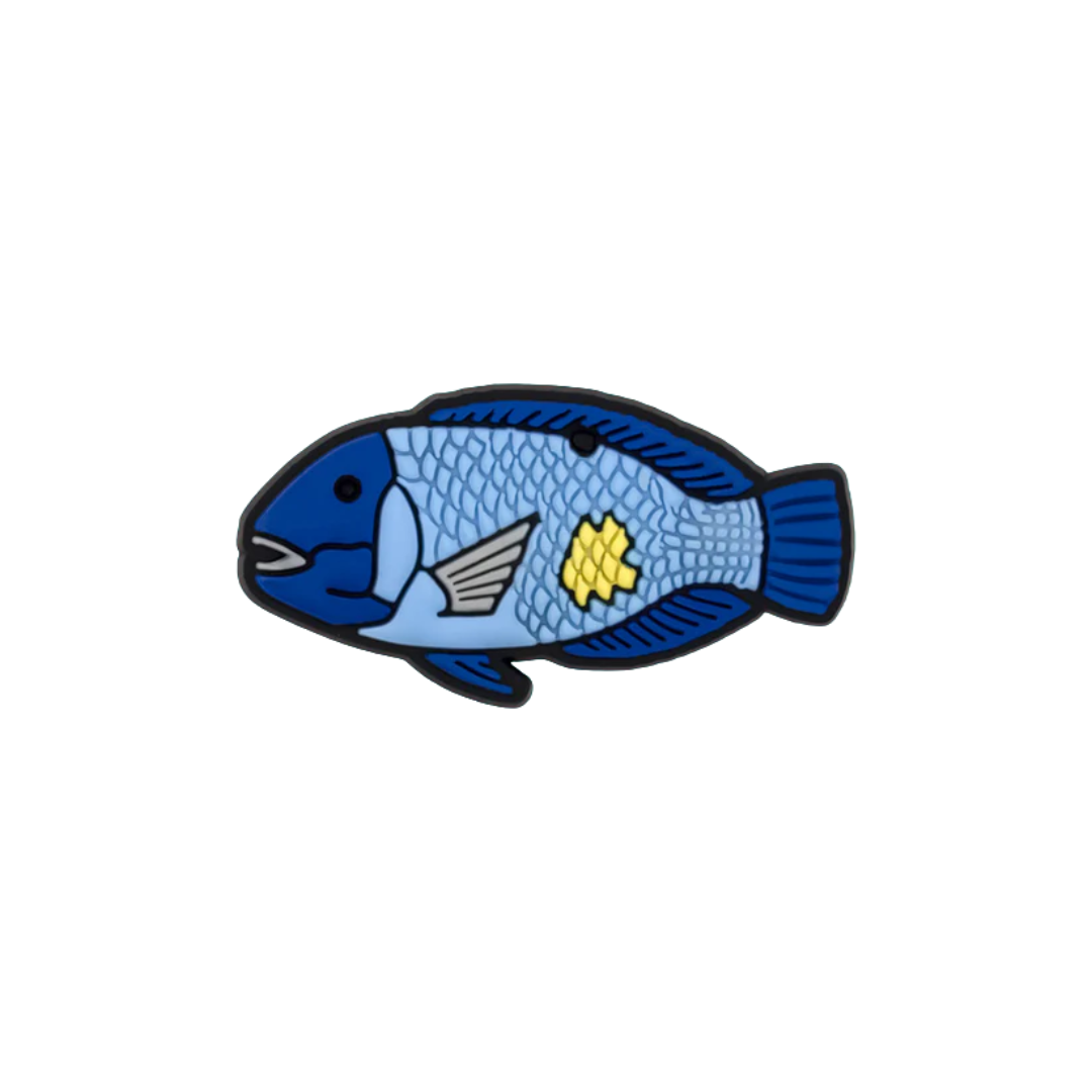 Reef Lagoon Charm Black Spot Tuskfish