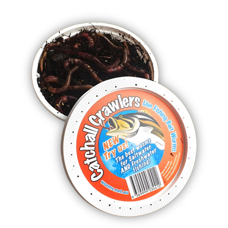 Blinks Bait Catchall Crawler Bait Worms 20pk