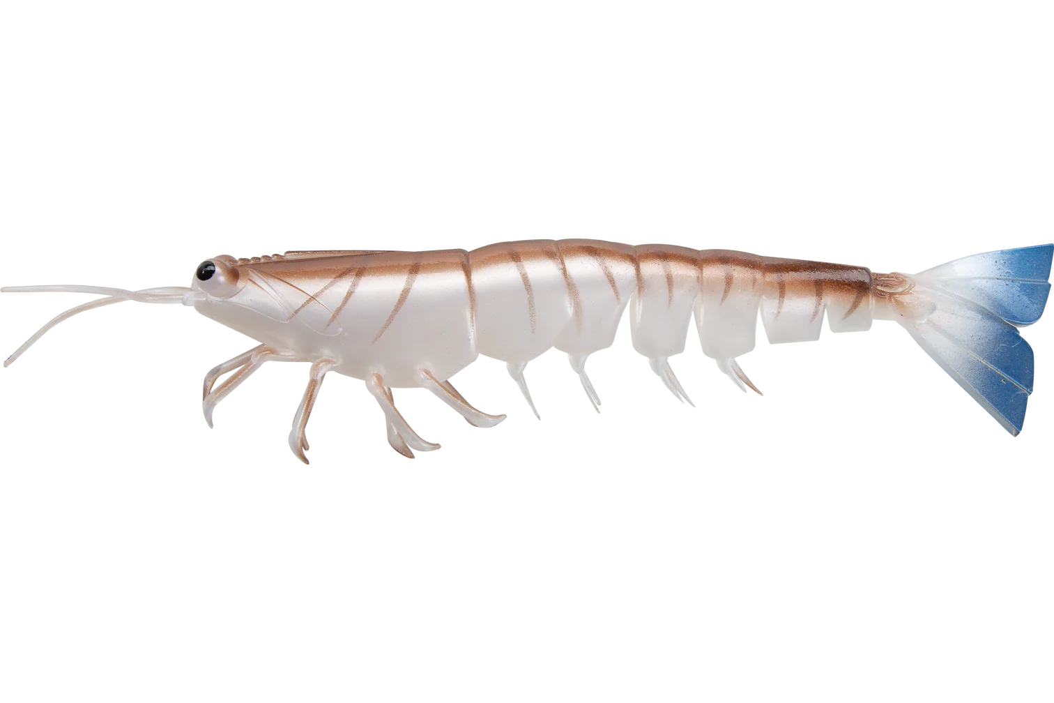 Irukandji Megaprawn 165mm Soft Plastic Lure Blood N Bone