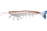 Irukandji Megaprawn 165mm Soft Plastic Lure Blood N Bone