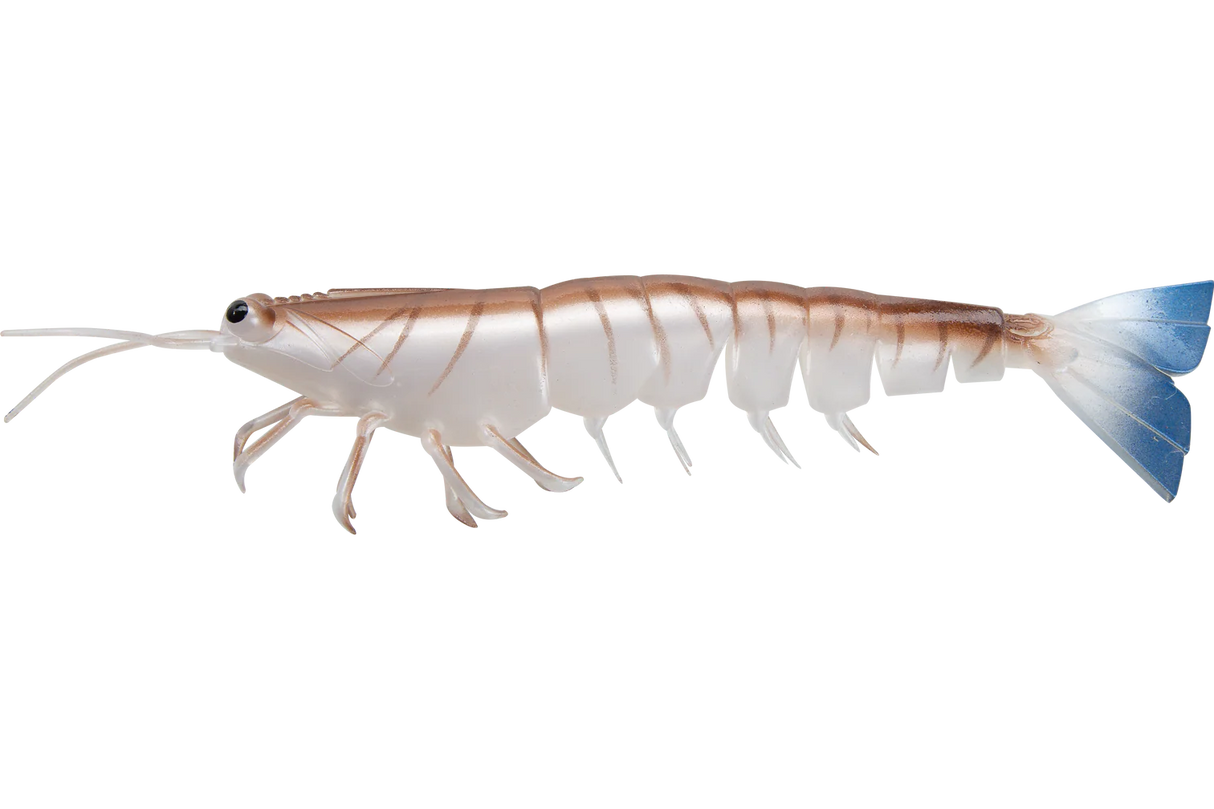 Irukandji Megaprawn 125mm Soft Plastic Lure Blood N Bone