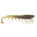 Rapala Crush City The Imposter 3in Soft Plastic Lure Purple Haze