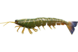 Irukandji Megaprawn 210mm Soft Plastic Lure Camo