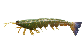 Irukandji Megaprawn 210mm Soft Plastic Lure Camo