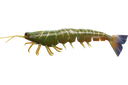 Irukandji Megaprawn 125mm Soft Plastic Lure Camo