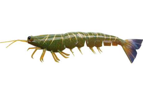 Irukandji Megaprawn 125mm Soft Plastic Lure Camo
